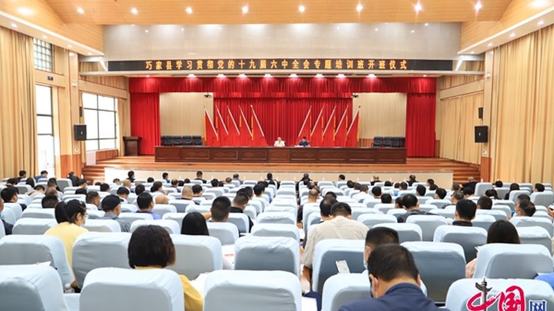 电工接线端子型号规格揭秘：选对关键，安全无忧