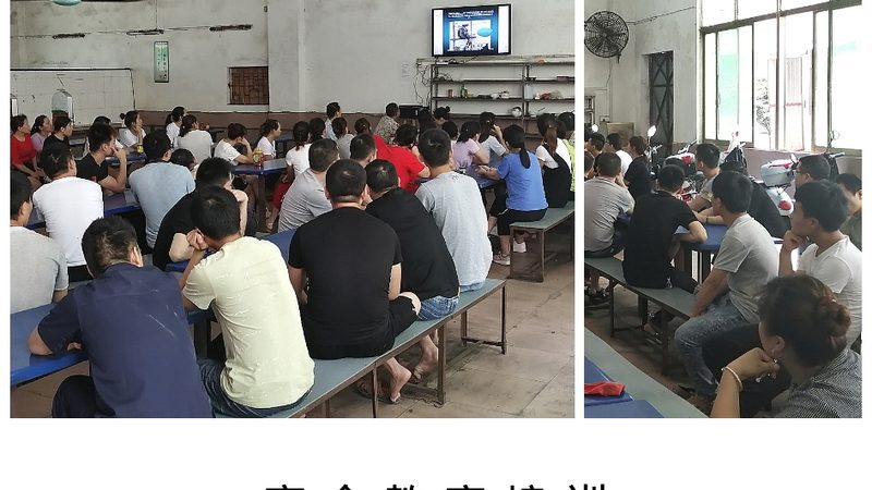 少儿编程教材如何选择？揭秘家长关注的五大要点